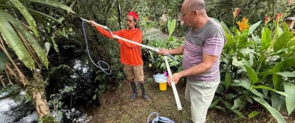 Limelight Rainforest - Insect Monitoring
